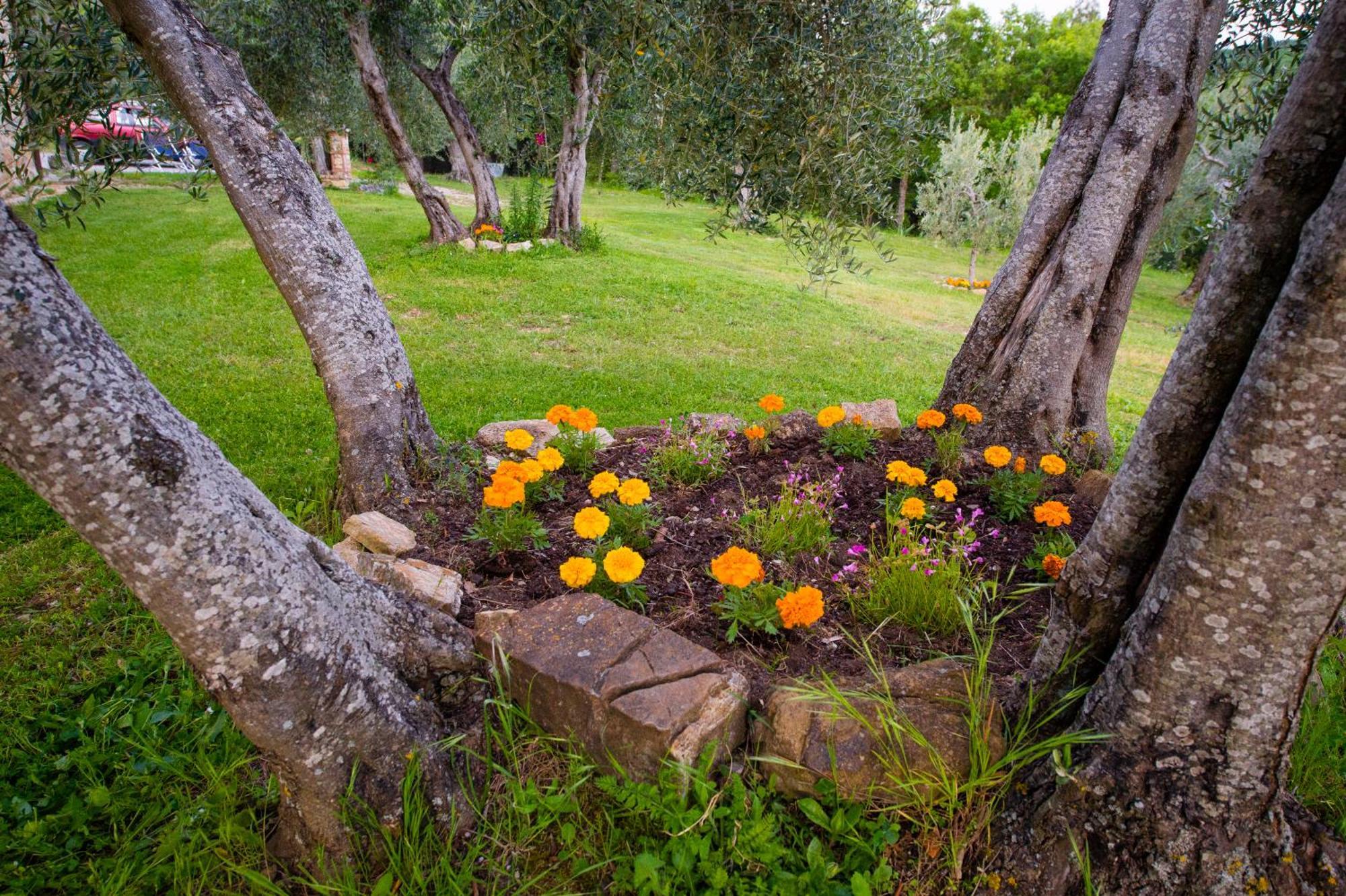 Agriturismo Bindozzino Castiglione dʼOrcia Exterior foto
